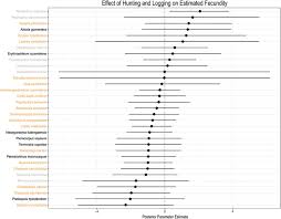 Image result for Strombosiopsis