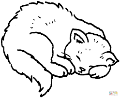 Disegno Di Gatto Che Dorme Da Colorare Disegni Da Colorare E Con