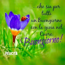 La giornata all'insegna del relax inizia con una gustosa colazione fiori la tradizione vorrebbe che per il giorno della festa della mamma si regalassero delle rose rosa. Immagini Per Buongiorno Con I Fiori Bellissimeimmagini It