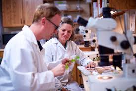 Abbott's tree experts was started in 2009 by owner, matt abbott. Bartlett Tree Experts Our Expert Staff