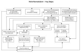 Mold Remediation In Schools And Commercial Buildings Guide