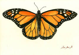 See more ideas about butterfly tattoo, tattoos, butterfly tattoo designs. Monarch Butterfly Paintings Fine Art America