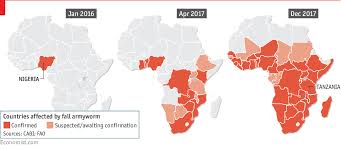 An Army Of Worms Is Invading Africa Daily Chart