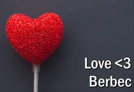 Nu e o singurătate apăsătoare, ci una acceptată de bună voie. Horoscop Acvaria Horoscop Decembrie 2018 Pentru Berbec Dragoste