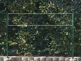 Mit einem katzennetz lässt sich die hecke jedoch katzensicher einrichten. Bildergebnis Fur Garten Katzensicher Plexiglas Katzengarten Katzengehege Katze Zaun