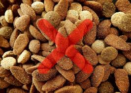 Learn about a safe treatment for allergic dog itch. Effective Home Remedies For A Dog With Dry Skin Pethelpful