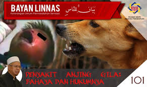 Suyogi imam f goverment affair 0 comment. Pejabat Mufti Wilayah Persekutuan Bayan Linnas Siri Ke 101 Penyakit Anjing Gila Bahaya Dan Hukumnya