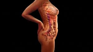 Changes to a Mother During Pregnancy - StoryMD