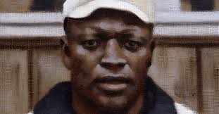 Video — Matthew Leib