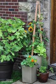 Patio Vegetable Garden Setup And Tips To Get Growing In 2020 Container Gardening Vegetables Vegetable Garden Design Veggie Garden