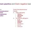 Listeria monocytogenes in dairy products, seafoods, and meats. 1