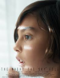 The Night The Sky Fell