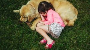 ruyada olu kopek gormek ne anlama gelir islami yorumu super firsatlar