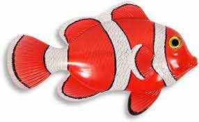 Check spelling or type a new query. Amazon Com Big 12 Tropical Nemo Clown Fish Tiki Sea Wall Decor Home Kitchen