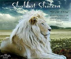 Shabbat Shalom Paleo Hebrew Lion Miyah Music White Lion Torah 7th Day Sabbath Majestic Animals Animals Beautiful Animals