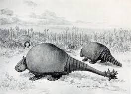 More spanish words for possum. Possum On The Half Shell