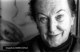 El fotógrafo Andrés Castillo recopila 'las caras' de la cultura de 1980 al  año 2000 — Flat Magazine