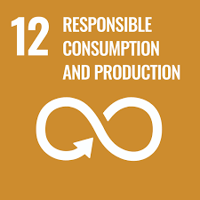 SDG 9 - Industry, Innovation and Infrastructure