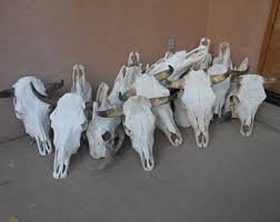 Fill your cart with color · under $10 · returns made easy Cow Skull Etsy