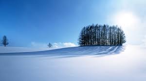2560x1600 winter landscape wallpaper high resolution luxury nice desktop wallpaper wallpapers browse style of 21 beautiful winter. Winter Scenery Hd Wallpaper Nature And Landscape Wallpaper Better