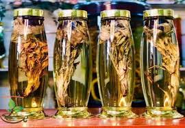 Hoa tuyết liên thuộc họ nhà cúc nhưng hình dáng của nó lại giống như những bông hoa sen rực rỡ. Hoa Thien SÆ¡n Tuyáº¿t Lien
