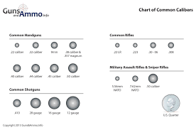 What Is Caliber Bullet Sizes Explained Ammo Guns And Ammo Caliber