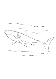 This one is about the bluntnose sixgill shark. Coloring Pages Shark Printable Coloring Pages