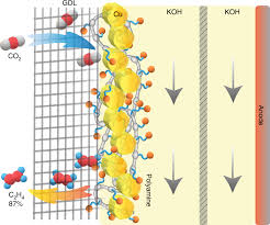 Check spelling or type a new query. Electrochemical Co 2 To Ethylene Conversion On Polyamine Incorporated Cu Electrodes Nature Catalysis