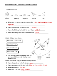 Which organisms from the food web is consuming the insects? Food Webs And Chains Worksheet Lettuce Greenfly Ladybird Thrush Cat Web Biogeochemistry Answers Coloring Pages Ocean 3rd Grade Pdf Energy Pyramid Biology Key Oguchionyewu