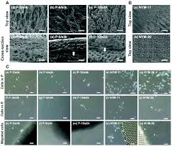 Music video for lonely performed by akon. Enrichment Of Cancer Initiating Cells From Colon Cancer Cells Through Porous Polymeric Membranes By A Membrane Filtration Method Journal Of Materials Chemistry B Rsc Publishing Doi 10 1039 D0tb02312d