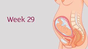 38 weeks of pregnancy in months. Everything You Need To Know About The Third Trimester Weeks 29 To 40 Tommy S