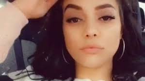 Fundraiser by Amy AmyDeBona : Help send Sully home