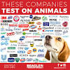 Brands that test on animals uk. 1