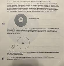 Mueller hinton agars mueller hinton agar • mueller hinton ii agar mueller hinton agar with 5% sheep blood. 1 Here Is Why We Need To Use Mueller Hinton Agar Chegg Com