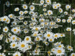 Resenas subscriber 4 días atrás. Frases De Amor Proprio To Me Afastando De Tudo Que Me Atrasa Fraseado