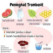 All About Jsr On Instagram Meningkatkan Trombosit Semoga Bermanfaat Jangan Lupa Follow Ig Makanan Rendah Kalori Obat Alami Kesehatan Alami