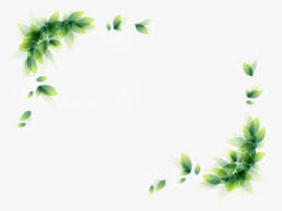 178 free vector graphics of leaf border. Leaf Border Png Images Free Transparent Leaf Border Download Kindpng