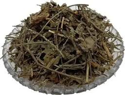 Image result for Cocculus hirsutus