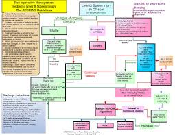 Image result for PECARN Pediatric Intra-Abdominal Injury Algorithm