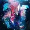 Kantai collection japanese destroyer hibiki anime video game, anime, purple, black hair, video spongebob squarepants riding on jellyfish, spongebob squarepants: Https Encrypted Tbn0 Gstatic Com Images Q Tbn And9gcrc29kg3wd7bg6hwmyhbzg9jay3amho6a90lfxwy72kdabj48yh Usqp Cau