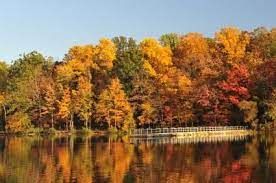 The state park is easily accessible from both southern berks county along french creek, pa, and chester county. Directory Of Philadelphia Parks In Pennsylvania For Visitors State Parks Park Falls Places To Visit