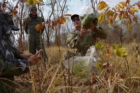 Image result for Teak Brown 2014 AQ