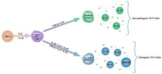 Tumor atau barah (bahasa inggris: Cells June 2021 Browse Articles