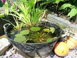 Check out our miniature pond selection for the very best in unique or custom, handmade pieces from our garden decoration shops. How To Create A Mini Pond The Wildlife Trusts