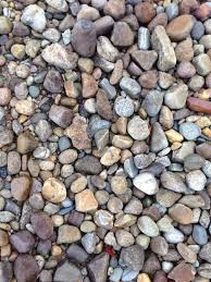 How did pea gravel get its name? Pea Gravel All About Pretty Pebbles For The Garden Landscape Home For The Harvest