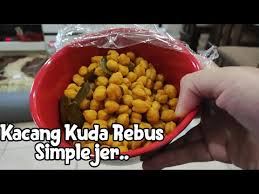 Pastikan untuk tidak memasukkan gula atau garam saat kacang hijau belum mekar. Cara Merebus Kacang Kuda