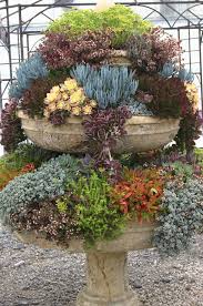 Succulent Garden Design Ideas Succulents In Containers Plants Succulents Garden