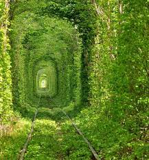 Echa un vistazo a nuestra selección de ucrania para ver las mejores piezas hechas a mano, únicas o personalizadas de nuestras tiendas. Banco De Imagenes Tunel De Arboles En Ucrania Tree Tunnel Rivne Ukraine