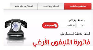 رابط الاستعلام عن فاتورة التليفون الارضي 2019 من موقع المصرية للاتصالات Apl Jowl