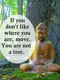 Pin By Donchuan57 On Motivational Quotes Buddha Quote Buddha Quotes Inspirational Wisdom Quotes